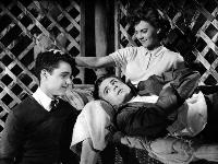 Rebel without a Cause - 8 x 10 B&W Photo #4