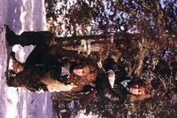 Red Dawn - 8 x 10 Color Photo #7