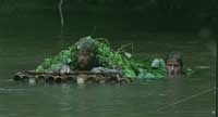 Rescue Dawn - 8 x 10 Color Photo #14