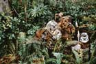 Return of the Jedi - 8 x 10 Color Photo #46