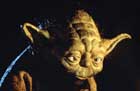 Return of the Jedi - 8 x 10 Color Photo #84