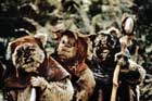 Return of the Jedi - 8 x 10 Color Photo #112