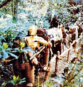 Return of the Jedi - 8 x 10 Color Photo #2