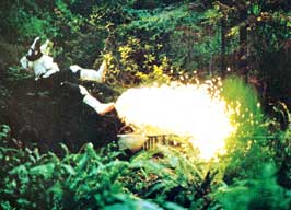 Return of the Jedi - 8 x 10 Color Photo #17