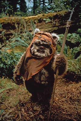 Return of the Jedi - 8 x 10 Color Photo #24
