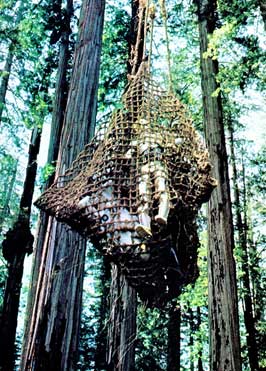 Return of the Jedi - 8 x 10 Color Photo #37