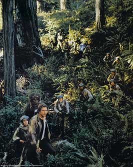 Return of the Jedi - 8 x 10 Color Photo #44
