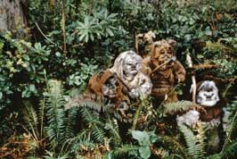 Return of the Jedi - 8 x 10 Color Photo #46