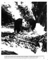 Return to the Blue Lagoon - 8 x 10 B&W Photo #8