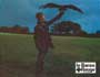 Revenge of the Red Baron - 8 x 10 Color Photo #3