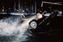 Risky Business - 8 x 10 Color Photo #6