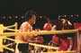 Rocky 2 - 8 x 10 Color Photo #1
