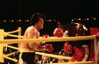 Rocky 2 - 8 x 10 Color Photo #1