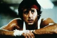 Rocky 2 - 8 x 10 Color Photo #2