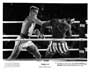 Rocky 4 - 8 x 10 B&W Photo #7