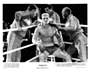 Rocky 4 - 8 x 10 B&W Photo #13