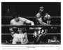 Rocky - 8 x 10 B&W Photo #17