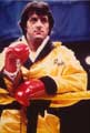 Rocky - 8 x 10 Color Photo #5