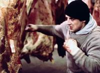 Rocky - 8 x 10 Color Photo #3