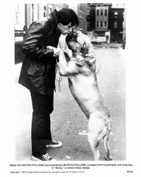 Rocky - 8 x 10 B&W Photo #1