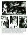 Rudyard Kipling's The Jungle Book - 8 x 10 B&W Photo #1