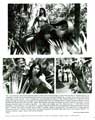 Rudyard Kipling's The Jungle Book - 8 x 10 B&W Photo #5