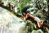 Rudyard Kipling's The Jungle Book - 8 x 10 Color Photo #2
