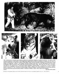 Rudyard Kipling's The Jungle Book - 8 x 10 B&W Photo #1