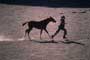 Running Free - 8 x 10 Color Photo #1