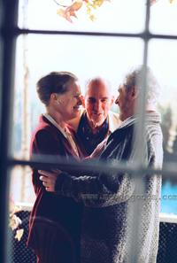 Saraband - 8 x 10 Color Photo #2