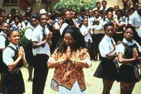 Sarafina! - 8 x 10 Color Photo #3