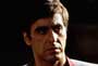 Scarface - 8 x 10 Color Photo #11