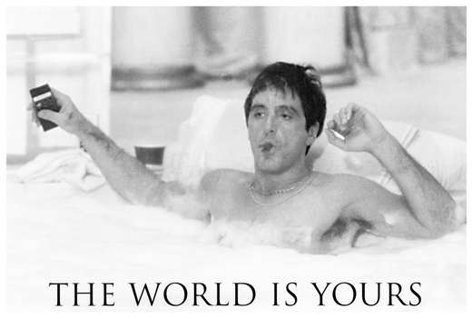 scarface the world is yours making money