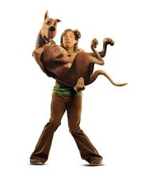 Scooby-Doo - 8 x 10 Color Photo #17