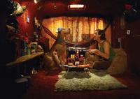 Scooby-Doo - 8 x 10 Color Photo #22