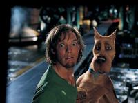 Scooby-Doo - 8 x 10 Color Photo #31