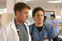 Scrubs (TV) - 8 x 10 Color Photo #062