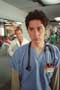 Scrubs (TV) - 8 x 10 Color Photo #101