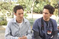 Scrubs (TV) - 8 x 10 Color Photo #053