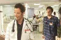 Scrubs (TV) - 8 x 10 Color Photo #054