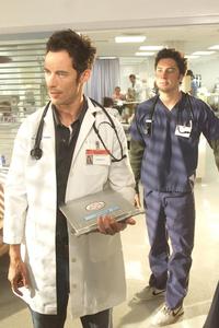 Scrubs (TV) - 8 x 10 Color Photo #055