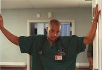 Scrubs (TV) - 8 x 10 Color Photo #069