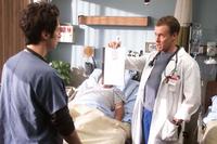 Scrubs (TV) - 8 x 10 Color Photo #079
