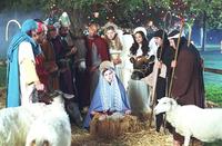 Scrubs (TV) - 8 x 10 Color Photo #088