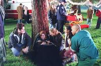 Scrubs (TV) - 8 x 10 Color Photo #089