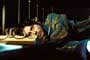 Secret Window - 8 x 10 Color Photo #7