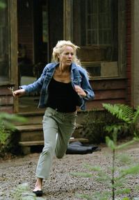 Secret Window - 8 x 10 Color Photo #15