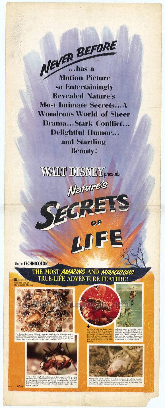 secrets of life 1956 full movie