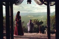 Serenity - 8 x 10 Color Photo #19
