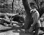 Sergeant York - 8 x 10 B&W Photo #5